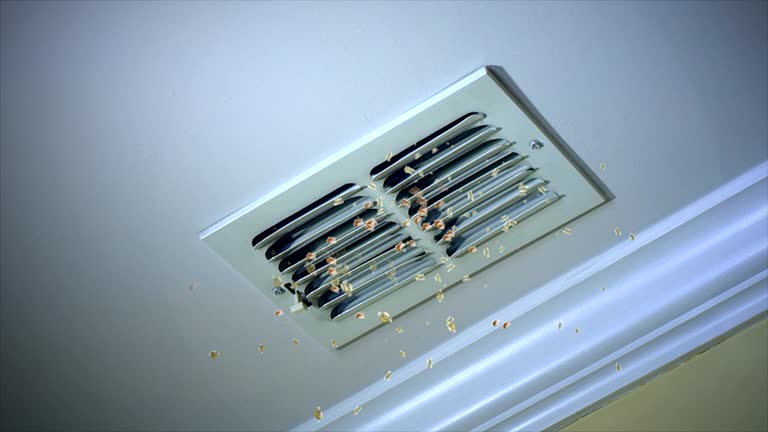 Best Air Duct Cleaning Near Me in WA